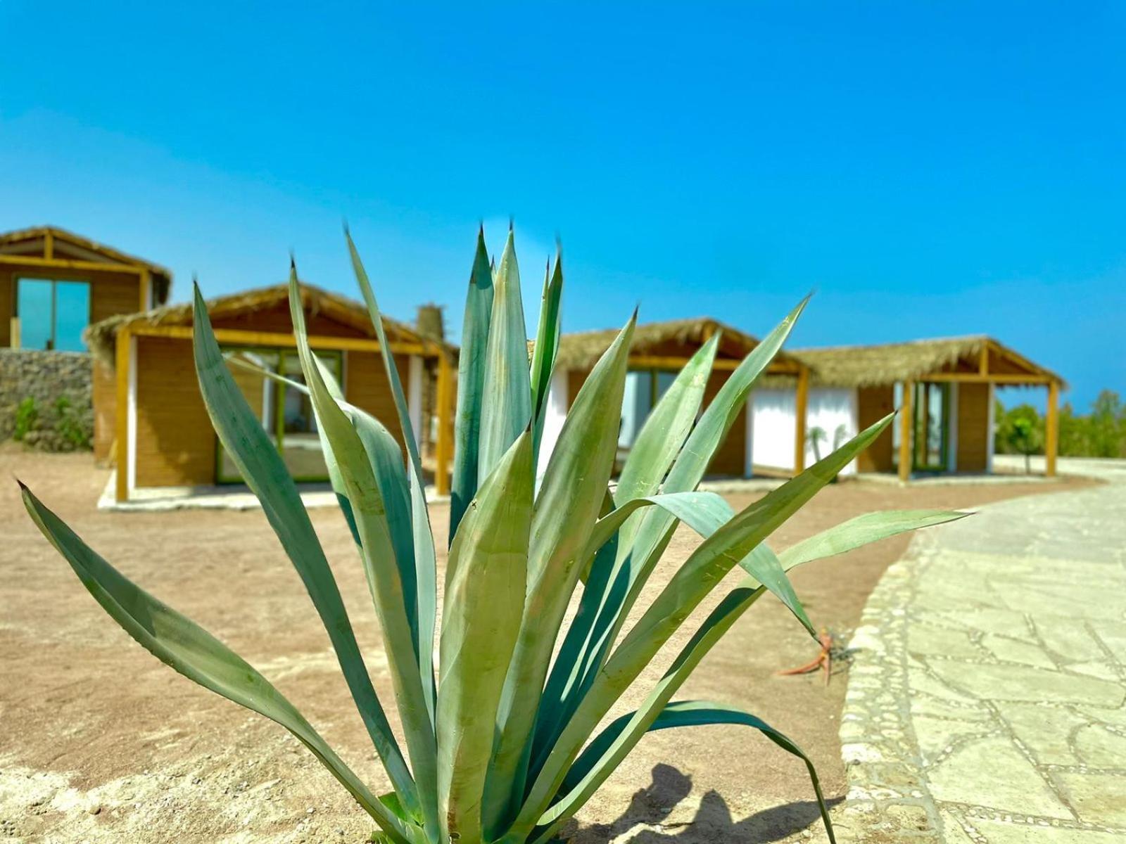 Ananda Beach Camp Nuweiba` Exteriér fotografie